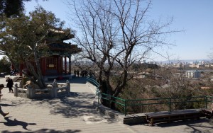 Daves blog photo 10