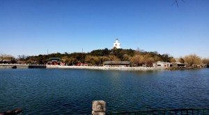 Daves blog photo 13