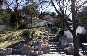 Daves blog photo 14