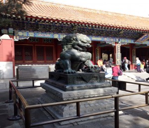Daves blog photo 5
