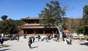 Daves blog photo 8