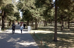 Daves blog photo 9